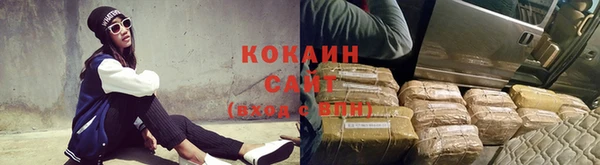 кокс Белокуриха