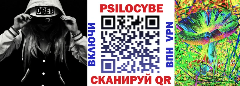 Псилоцибиновые грибы мицелий  купить наркотик  Троицк 